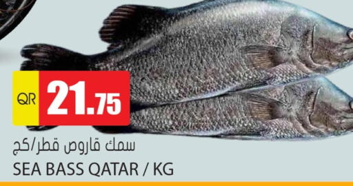 available at Grand Hypermarket in Qatar - Umm Salal