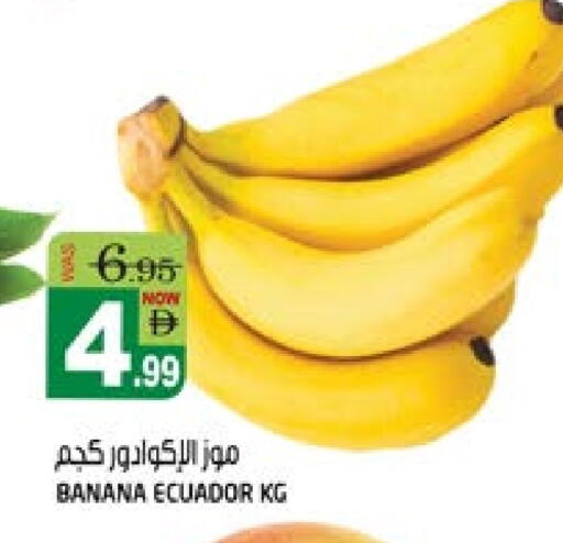 موز from Ecuador available at هاشم هايبرماركت in الإمارات العربية المتحدة , الامارات - الشارقة / عجمان