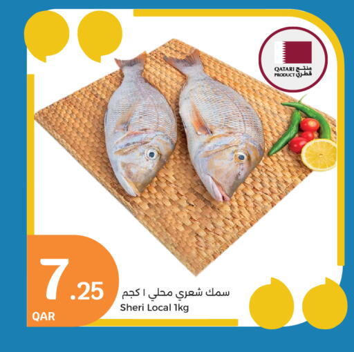 available at City Hypermarket in Qatar - Al Wakra