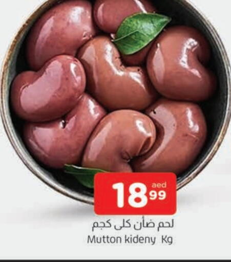 لحم الضأن / الغنم available at المدينة in الإمارات العربية المتحدة , الامارات - الشارقة / عجمان
