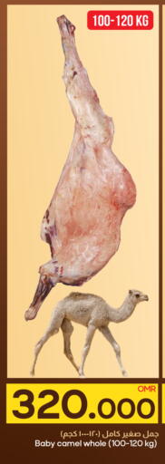 Camel meat available at MARK & SAVE in Oman - Muscat