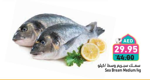 Fresh Fish in Aswaq Ramez, UAE Offers - United Arab Emirates available at Aswaq Ramez in UAE - Ras al Khaimah