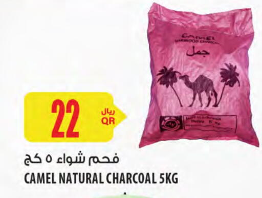 Outdoors & Garden in Al Meera, Qatar Offers - Qatar available at Al Meera in Qatar - Al Daayen