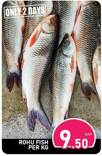 available at Passion Hypermarket in Qatar - Al Wakra