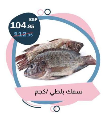 available at فلامنجو هايبرماركت in Egypt - القاهرة