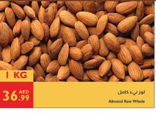available at إسطنبول سوبرماركت in الإمارات العربية المتحدة , الامارات - أبو ظبي