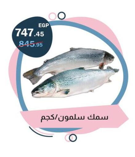 available at فلامنجو هايبرماركت in Egypt - القاهرة