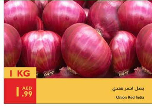 Onion from India available at Istanbul Supermarket in UAE - Abu Dhabi
