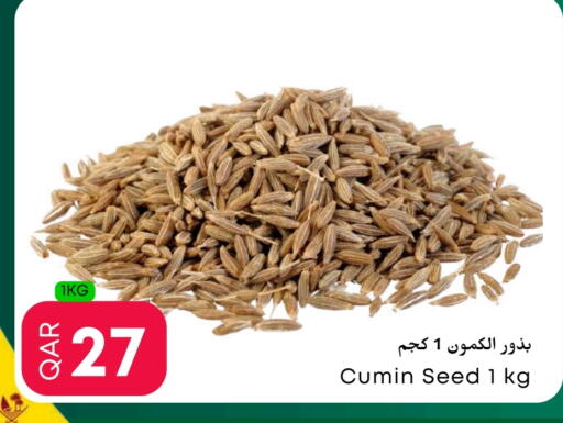 Cumin available at Food World Hypermarket in Qatar - Al Shamal