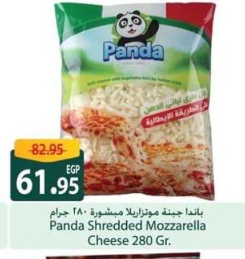 بنده موزاريلا available at سبينس in Egypt - القاهرة