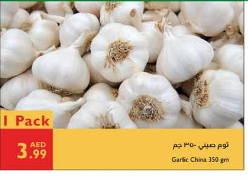 Garlic from China available at Istanbul Supermarket in UAE - Abu Dhabi