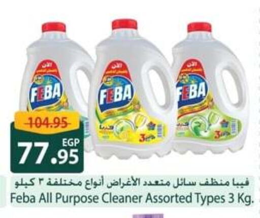 منظف عام available at سبينس in Egypt - القاهرة