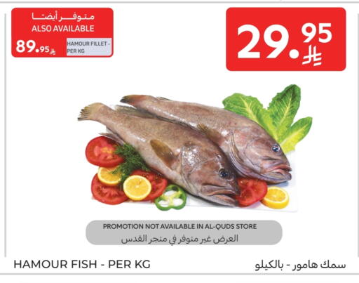 Fresh Fish in Carrefour, Saudi Arabia Offers - Saudi Arabia available at Carrefour in KSA, Saudi Arabia, Saudi - Sakaka