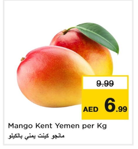 مانجو from Yemen available at لاست تشانس in الإمارات العربية المتحدة , الامارات - ٱلْفُجَيْرَة‎