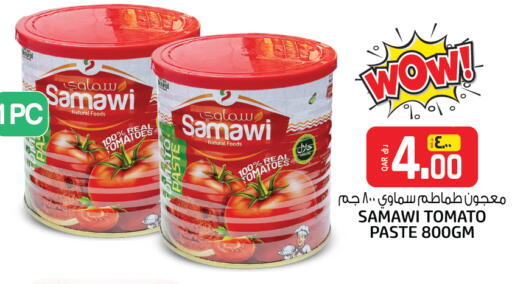 Salts, Spices & Paste in Kenz Mini Mart, Qatar Offers - Qatar Tomato Paste available at Kenz Mini Mart in Qatar - Doha