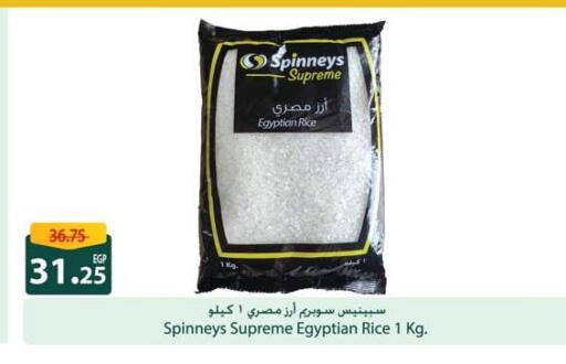 Calrose Rice available at Spinneys  in Egypt - Cairo