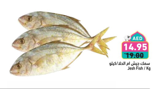 Fresh Fish in Aswaq Ramez, UAE Offers - United Arab Emirates available at Aswaq Ramez in UAE - Ras al Khaimah