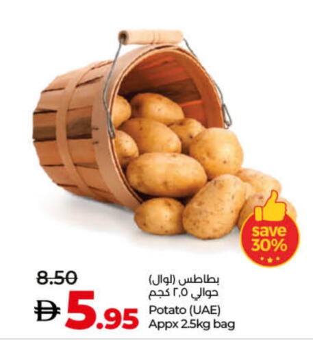 Potato available at Lulu Hypermarket in UAE - Umm al Quwain