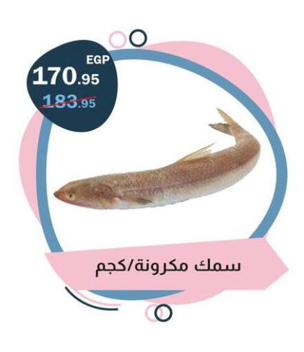 available at فلامنجو هايبرماركت in Egypt - القاهرة