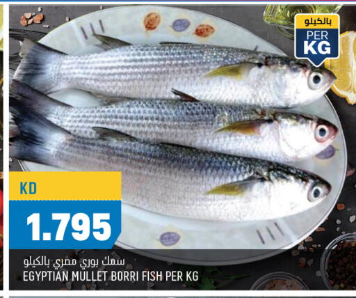available at Oncost in Kuwait - Ahmadi Governorate