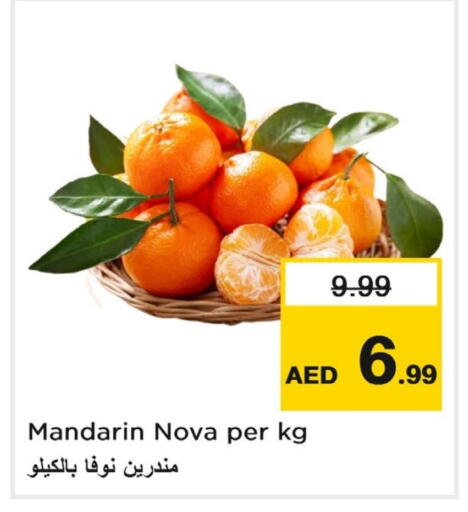 برتقال available at لاست تشانس in الإمارات العربية المتحدة , الامارات - ٱلْفُجَيْرَة‎