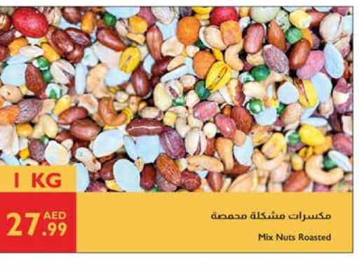 available at Istanbul Supermarket in UAE - Al Ain