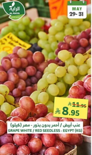 Grapes from Egypt available at Al Raya in KSA, Saudi Arabia, Saudi - Abha