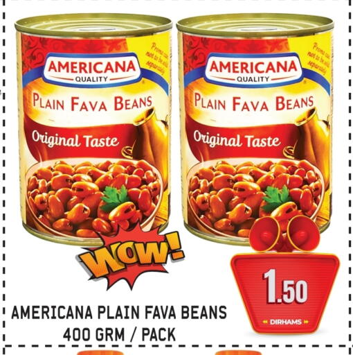 Canned & Packeted in GIFT MART- Sharjah, UAE Offers - United Arab Emirates AMERICANA Fava Beans available at GIFT MART- Sharjah in UAE - Sharjah / Ajman