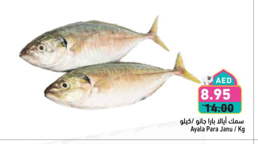 Fresh Fish in Aswaq Ramez, UAE Offers - United Arab Emirates available at Aswaq Ramez in UAE - Ras al Khaimah