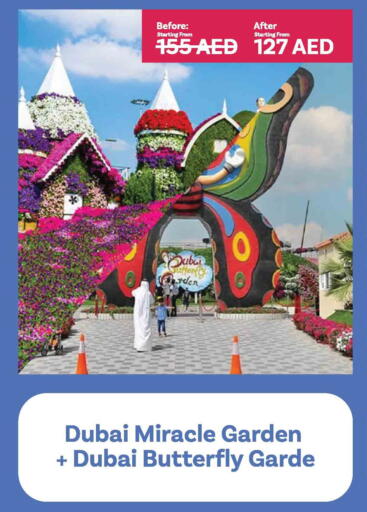 الأثاث الخارجي و الحديقة in أنصار جاليري, UAE Offers - الإمارات العربية المتحدة available at أنصار جاليري in الإمارات العربية المتحدة , الامارات - دبي