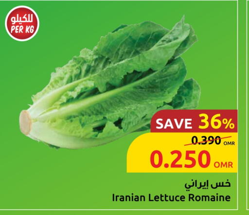Lettuce from Iran available at Sultan Center  in Oman - Sohar