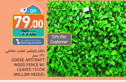 available at أسواق رامز in قطر - الدوحة