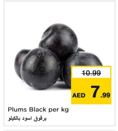 برقوق available at لاست تشانس in الإمارات العربية المتحدة , الامارات - ٱلْفُجَيْرَة‎