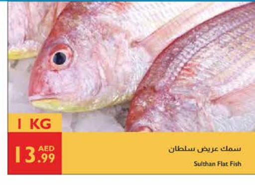 available at Istanbul Supermarket in UAE - Abu Dhabi