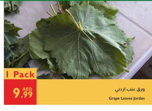 Canned & Packeted in Istanbul Supermarket, UAE Offers - United Arab Emirates available at Istanbul Supermarket in UAE - Abu Dhabi