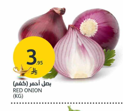 Onion available at AlJazera Shopping Center in KSA, Saudi Arabia, Saudi - Riyadh
