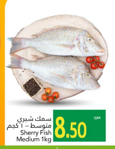 available at جلف فود سنتر in قطر - الدوحة
