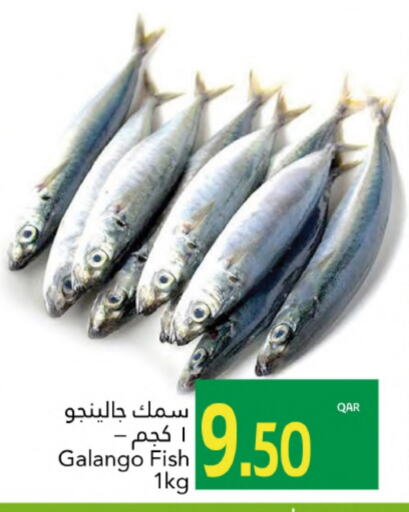 available at جلف فود سنتر in قطر - الدوحة
