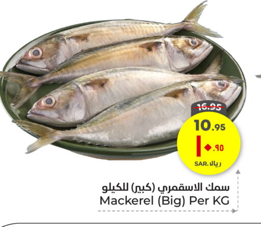 Fresh Fish in Hyper Al Wafa, Saudi Arabia Offers - Saudi Arabia available at Hyper Al Wafa in KSA, Saudi Arabia, Saudi - Ta'if