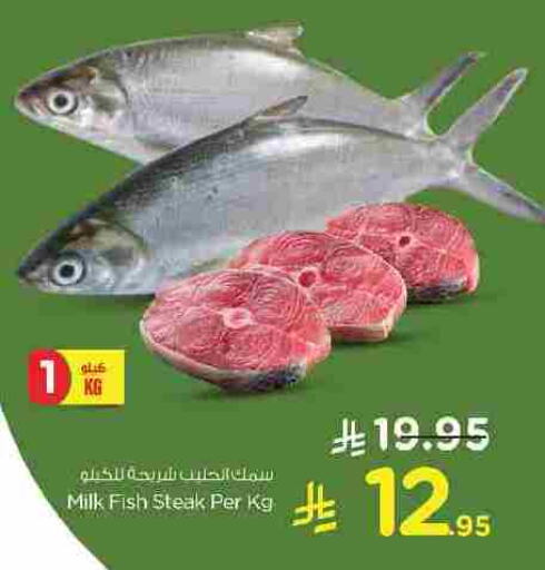 available at Nesto in KSA, Saudi Arabia, Saudi - Dammam