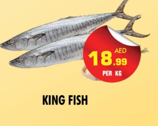 King Fish available at NIGHT TO NIGHT DEPARTMENT STORE in UAE - Sharjah / Ajman