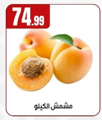 available at مارت فيل in Egypt - القاهرة