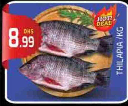 available at FOODZONE SUPERMARKET in UAE - Fujairah