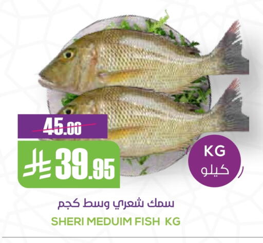available at Sapt in KSA, Saudi Arabia, Saudi - Buraidah