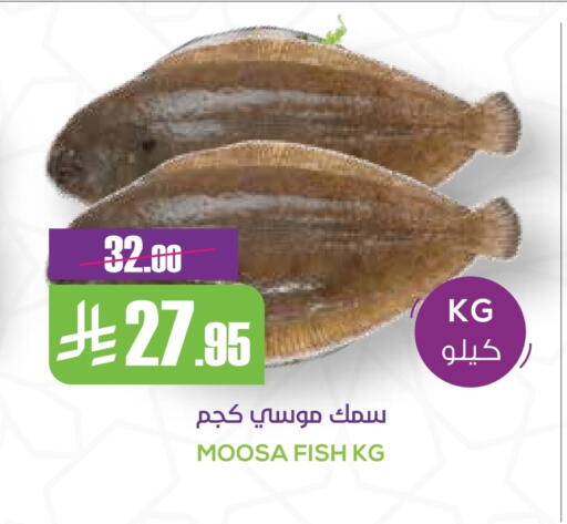 available at Sapt in KSA, Saudi Arabia, Saudi - Buraidah