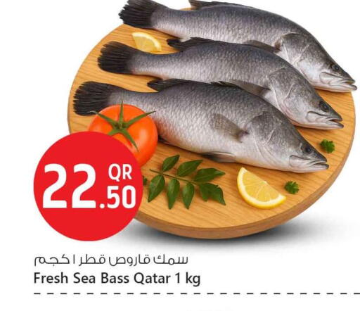 available at Safari Hypermarket in Qatar - Doha
