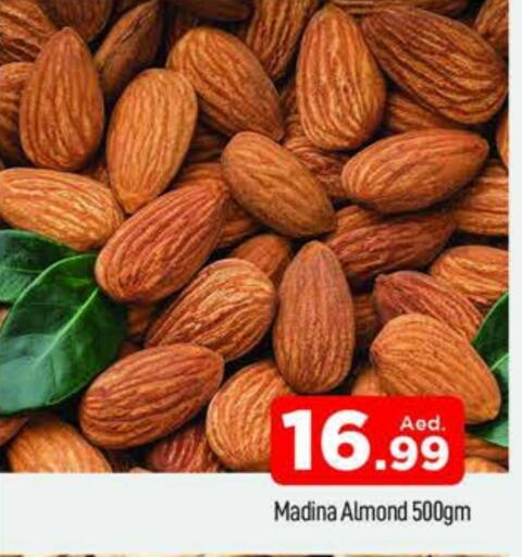 available at AL MADINA (Dubai) in UAE - Dubai