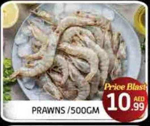 available at FOODZONE SUPERMARKET in UAE - Fujairah