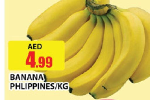 Banana available at AL MADINA (Dubai) in UAE - Dubai