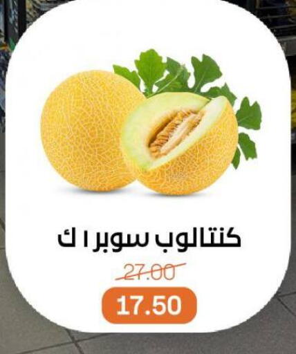 available at Beit El Gomla in Egypt - Cairo